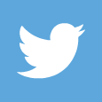 The Twitter logo in icon form.